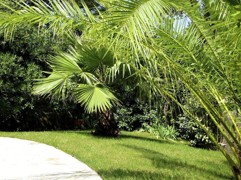 Appartement Dans Villa St Raphael Saint-Raphaël Δωμάτιο φωτογραφία