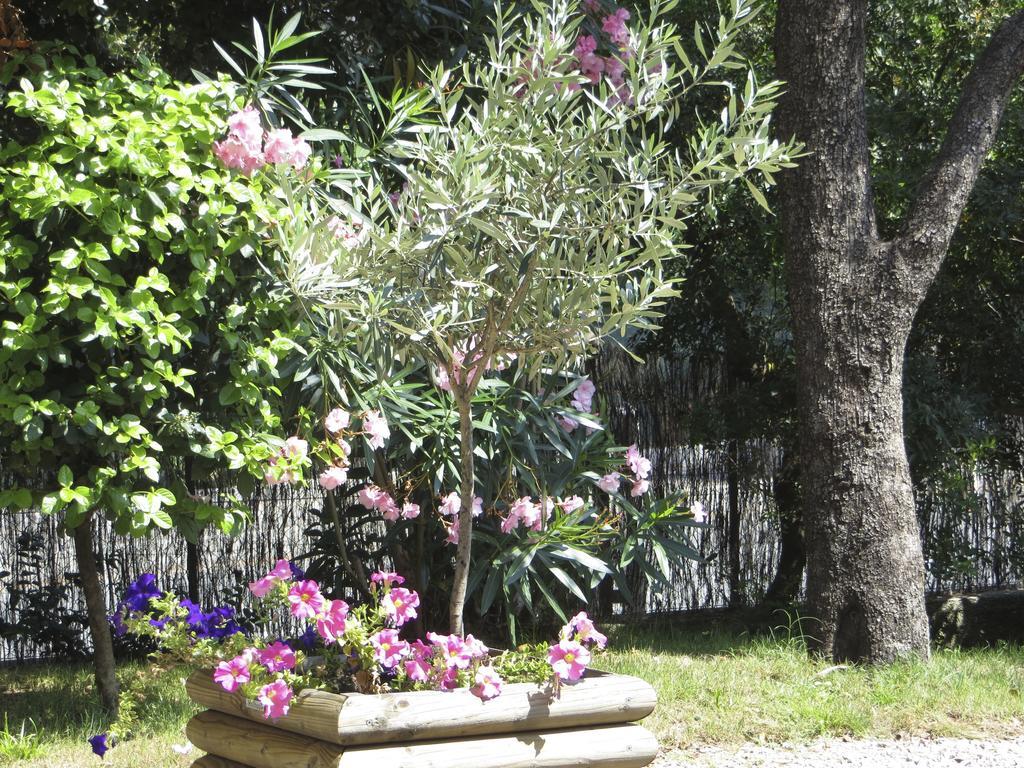 Appartement Dans Villa St Raphael Saint-Raphaël Δωμάτιο φωτογραφία