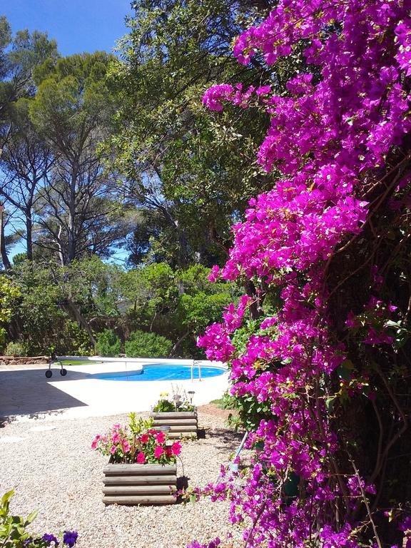 Appartement Dans Villa St Raphael Saint-Raphaël Εξωτερικό φωτογραφία